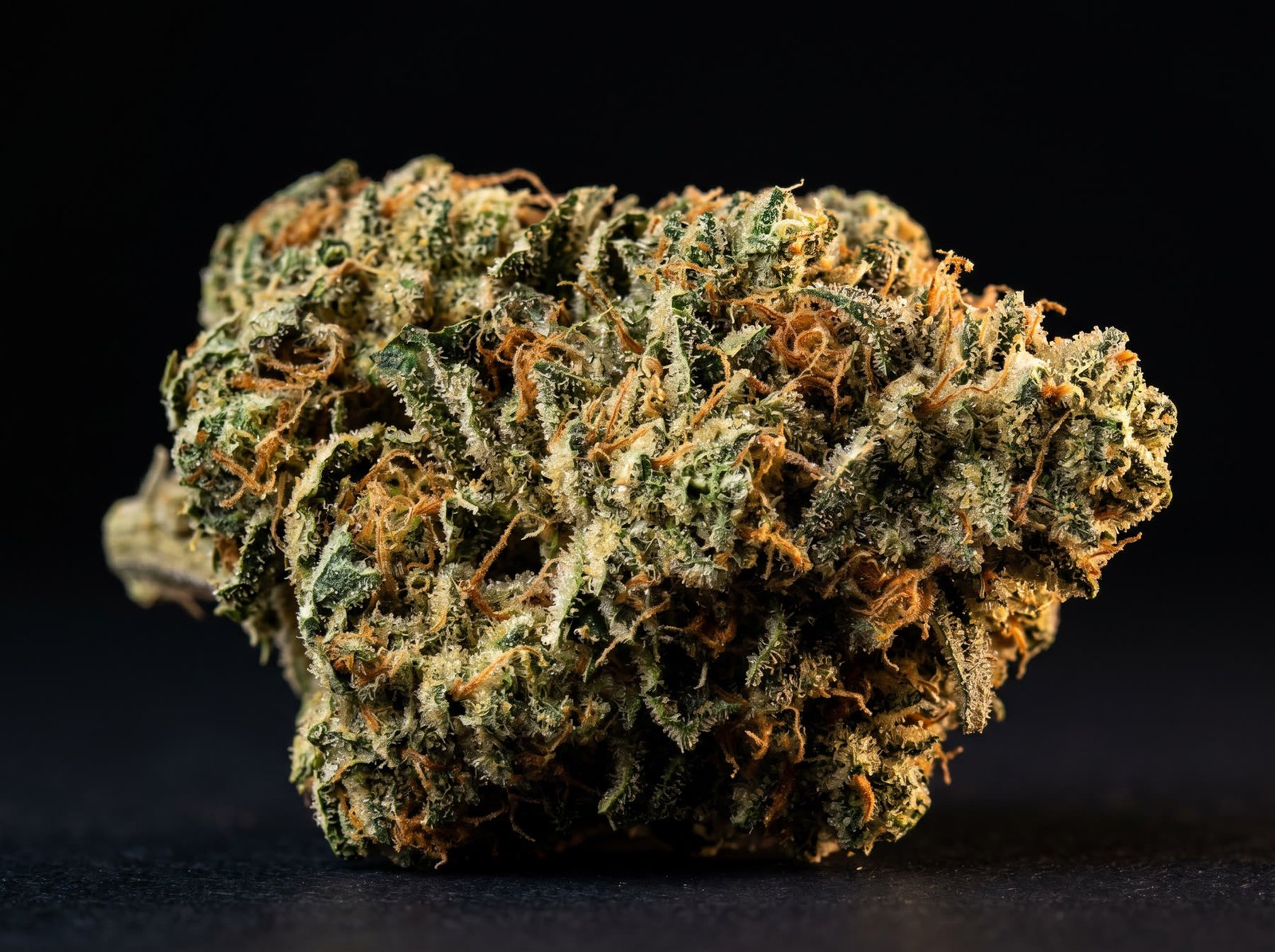 Northern Lights cannabis flower